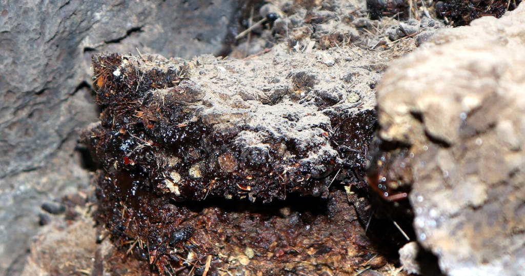 Organic Himalayan Shilajit resin for a healthy lifestyle