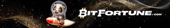 Bitfortune Mobile Login Troubleshooting Guide -1356901059